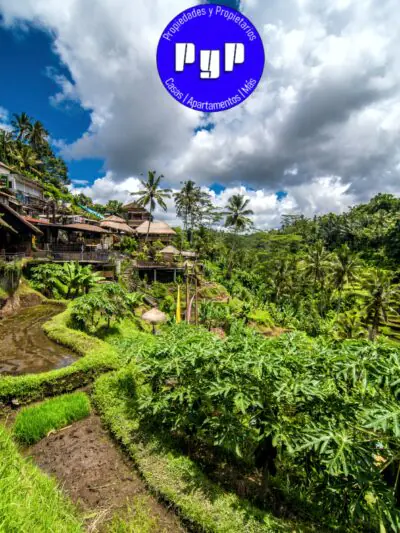 Finca
